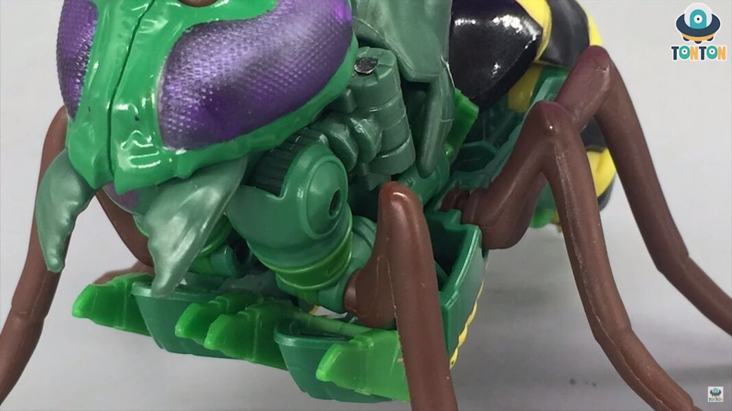 Transformers Kingdom Deluxe Class Waspinator  (1 of 35)